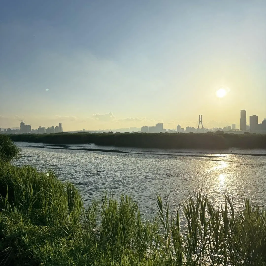 夕陽映照河面、草地與遠方城市天際線